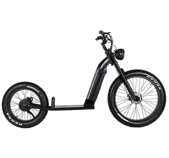 Elektro-Klapproller für Erwachsene für Pendler